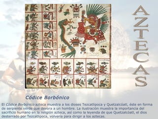 Códice Borbónico El  Códice Borbónico  azteca muestra a los dioses Tezcatlipoca y Quetzalcóatl, éste en forma de serpiente verde que devora a un hombre. La ilustración muestra la importancia del sacrificio humano en la religión azteca, así como la leyenda de que Quetzalcóatl, el dios desterrado por Tezcatlipoca, volvería para dirigir a los aztecas. AZTECAS 