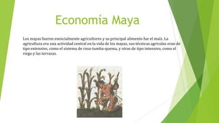 Economía Maya
Los mayas fueron esencialmente agricultores y su principal alimento fue el maíz. La
agricultura era una actividad central en la vida de los mayas, sus técnicas agrícolas eran de
tipo extensivo, como el sistema de roza-tumba-quema, y otras de tipo intensivo, como el
riego y las terrazas.

 