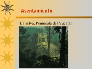 La selva, Península del Yucatán
Asentamiento
 