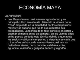 ECONOMÍA MAYA
La Agricultura
• Los Mayas fueron básicamente agricultores, y su
principal cultivo era el maíz utilizando la técnica de la
"rosa" empleada en la actualidad por los campesinos
mayas y se supone que fue la que utilizaron sus
antepasados. La técnica de la rosa consiste en cortar y
quemar el monte antes de sembrar, en los últimos años
se ha puesto en duda esta técnica debido a que agota
los suelos y obliga al campesino a desplazarse cada dos
o tres años en busca de nuevas tierras, así mismo,
cultivaban frijoles, caco, camote, calabaza, chile,
aguacate, marañón y guayaba, tabaco y algodón.
 