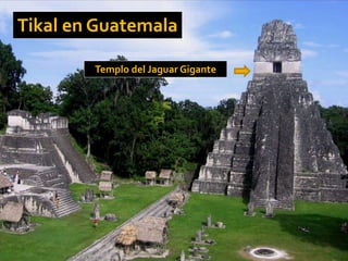 Tikal en Guatemala
Templo del Jaguar Gigante
 