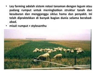 • Ley farming adalah sistem rotasi tanaman dengan legum atau
padang rumput untuk meningkatkan struktur tanah dan
kesuburan dan mengganggu siklus hama dan penyakit. Ini
telah dipraktekkan di banyak bagian dunia selama berabad-
abad.
• misal: rumput + stylosanthu
 