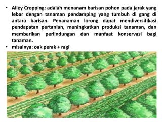 • Alley Cropping: adalah menanam barisan pohon pada jarak yang
lebar dengan tanaman pendamping yang tumbuh di gang di
antara barisan. Penanaman lorong dapat mendiversifikasi
pendapatan pertanian, meningkatkan produksi tanaman, dan
memberikan perlindungan dan manfaat konservasi bagi
tanaman.
• misalnya: oak perak + ragi
 