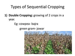 Types of Sequential Cropping
1) Double Cropping: growing of 2 crops in a
year.
Eg: cowpea- bajra
green gram- jowar
 