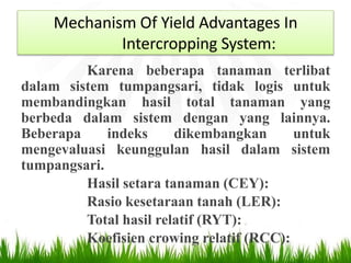 Mechanism Of Yield Advantages In
Intercropping System:
Karena beberapa tanaman terlibat
dalam sistem tumpangsari, tidak logis untuk
membandingkan hasil total tanaman yang
berbeda dalam sistem dengan yang lainnya.
Beberapa indeks dikembangkan untuk
mengevaluasi keunggulan hasil dalam sistem
tumpangsari.
Hasil setara tanaman (CEY):
Rasio kesetaraan tanah (LER):
Total hasil relatif (RYT):
Koefisien crowing relatif (RCC):
 