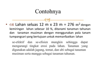•  Lahan seluas 12 m x 23 m = 276 m2 dengan
kemiringan lahan sebesar 10 %, ditanami tanaman tahunan
dan tanaman musiman dengan menggunakan pola tanam
tumpangsari yang bertujuan untuk memanfaatkan lahan
se-efektif dan se-efisien mungkin
mengurangi tingkat erosi pada lahan.
sehingga
Tanaman
dapat
yang
digunakan adalah jagung, tomat, dan ubi sebagai tanaman
musiman serta mangga sebagai tanaman tahunan.
Contohnya

 