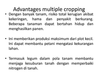 Advantages multiple cropping
• Dengan banyak tanam, risiko total kerugian akibat
kekeringan, hama dan penyakit berkurang.
Beberapa tanaman dapat bertahan hidup dan
menghasilkan panen.
• Ini memberikan produksi maksimum dari plot kecil.
Ini dapat membantu petani mengatasi kekurangan
lahan.
• Termasuk legum dalam pola tanam membantu
menjaga kesuburan tanah dengan memperbaiki
nitrogen di tanah.
 