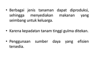 • Berbagai jenis tanaman dapat diproduksi,
sehingga menyediakan makanan yang
seimbang untuk keluarga.
• Karena kepadatan tanam tinggi gulma ditekan.
• Penggunaan sumber daya yang efisien
tersedia.
 