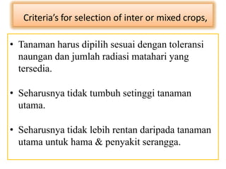 Criteria’s for selection of inter or mixed crops,
• Tanaman harus dipilih sesuai dengan toleransi
naungan dan jumlah radiasi matahari yang
tersedia.
• Seharusnya tidak tumbuh setinggi tanaman
utama.
• Seharusnya tidak lebih rentan daripada tanaman
utama untuk hama & penyakit serangga.
 