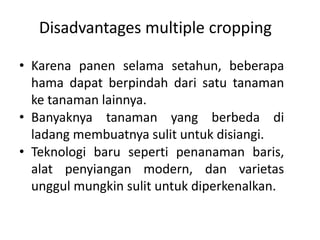 Disadvantages multiple cropping
• Karena panen selama setahun, beberapa
hama dapat berpindah dari satu tanaman
ke tanaman lainnya.
• Banyaknya tanaman yang berbeda di
ladang membuatnya sulit untuk disiangi.
• Teknologi baru seperti penanaman baris,
alat penyiangan modern, dan varietas
unggul mungkin sulit untuk diperkenalkan.
 