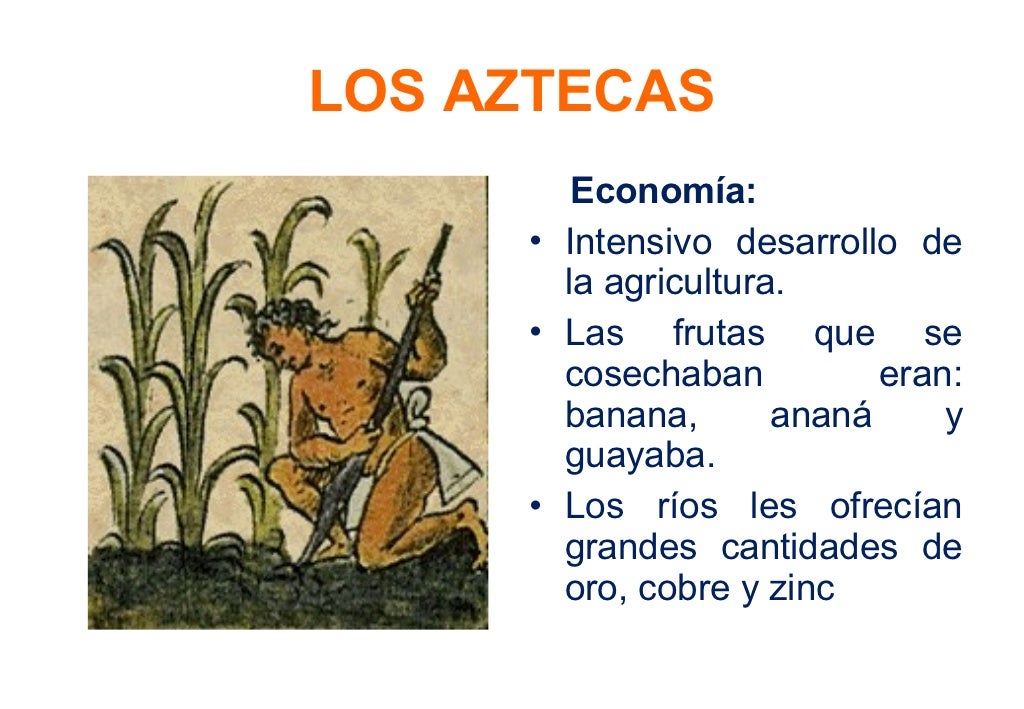 Mayas, incas y aztecas ice seas