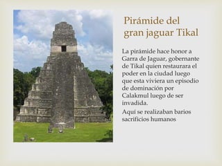 Pirámide del
gran jaguar Tikal
La pirámide hace honor a
Garra de Jaguar, gobernante
de Tikal quien restaurara el
poder en la ciudad luego
que esta viviera un episodio
de dominación por
Calakmul luego de ser
invadida.
Aquí se realizaban barios
sacrificios humanos
 