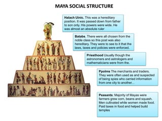MAYA SOCIAL STRUCTURE

   Halach Uinic. This was a hereditary
   position. It was passed down from father
   to son only. His powers were wide. He
   was almost an absolute ruler

          Batabs. There were all chosen from the
          noble class so this post was also
          hereditary. They were to see to it that the
          laws, taxes and policies were enforced.

                   Priesthood Usually though the
                   astronomers and astrologers and
                   mathematicians were from the.

                            Ppolms The merchants and traders.
                            They were often used as and suspected
                            of being spies who carried information
                            from one city to another. .


                            Peasants: Majority of Mayas were
                            farmers grew corn, beans and squash.
                            Men cultivated while women made food.
                            Paid taxes in food and helped build
                            temples
 