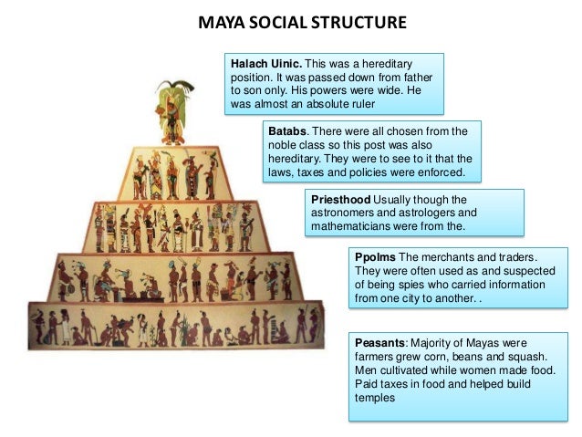 Image result for social structure mayans