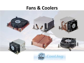 Fans & Coolers
 