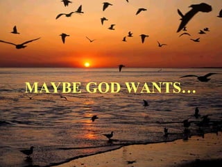 MAYBE GOD WANTS… 