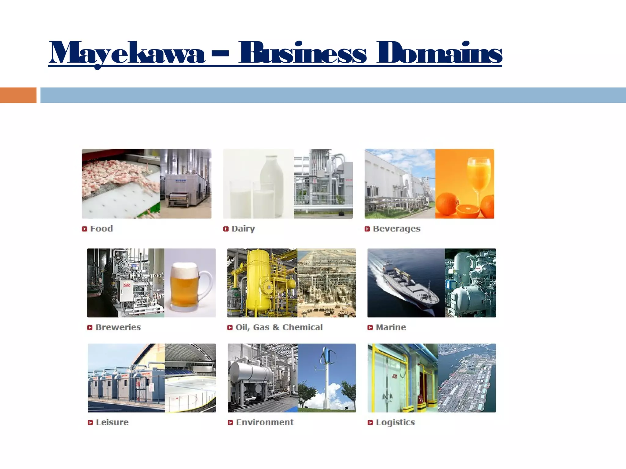 Mayekawa – Business Domains

 