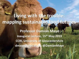 Living with the trouble:
mapping sustainable food futures
1
Professor Damian Maye
Inaugural Lecture, 15th May 2019
CCRI, University of Gloucestershire
dmaye@glos.ac.uk; @DamianMaye
 