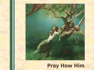 Pray How Him
 