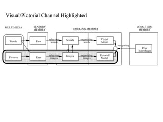 Visual/Pictorial Channel Highlighted WORKING MEMORY Pictorial Model Pictures integrating LONG-TERM MEMORY selecting images selecting words organizing images organizing words SENSORY MEMORY Eyes Prior Knowledge Prior  Knowledge MULTIMEDIA Images Words Ears Sounds Verbal  Model 
