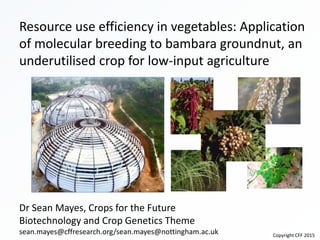 Copyright CFFRC - 2014
Resource use efficiency in vegetables: Application
of molecular breeding to bambara groundnut, an
underutilised crop for low-input agriculture
Dr Sean Mayes, Crops for the Future
Biotechnology and Crop Genetics Theme
sean.mayes@cffresearch.org/sean.mayes@nottingham.ac.uk Copyright CFF 2015
 