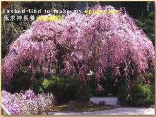 I  asked God to make my  spirit grow.  我求神長養 我的靈性。  