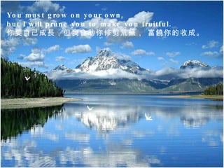 You must grow on your own,  but I will prune you to make you fruitful.  你要自己成長，但我會助你修剪荒蕪， 富饒你的收成。  