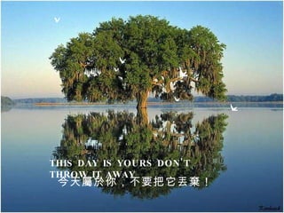 THIS DAY IS YOURS DON'T THROW IT AWAY  今天屬於你，不要把它丟棄！ 
