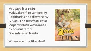 Mrugaya is a 1989
Malayalam film written by
Lohithadas and directed by
IV Sasi.The film features a
leopard which was loaned
by animal tamer
Govindarajan Naidu.
Where was the film shot?
 