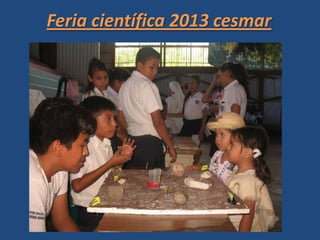 Feria científica 2013 cesmar
 