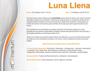 La Luna Llena representa: Iluminación, desenlace, introspección, inquietud, culminación
y resultado, fruto, etapa final, efervescencia, recolección, productividad, magia,
imaginación desbordada, creativa, transformación, plenitud, intensidad, emocionalidad.
Se recomienda: Fiestas de Reconocimiento, meditación, contemplación.
No se recomienda: Iniciar relaciones, cerrar negocios, sembrar.
Inicio: 03 de Mayo a las 11:43 pm Final: 11 de Mayo a las 06:37 am
Se hace notar el claro influjo que la Luna Llena ejerce sobre la Tierra y los seres humanos,
animales y plantas que la habitan. Esta fuerza, producida por el cambio de sentido de los
impulsos lunares al pasar la luna por la fase que media entre creciente y menguante, se
siente de manera más intensa que el cambio de fuerzas que tiene lugar durante la luna
nueva.
En el plenilunio los sonámbulos se pasean dormidos, las heridas sangran con más
persistencia; las plantas medicinales recogidas durante este período tienen más eficacia, y
los árboles podados en esta fase pueden morir.
Tomen en cuenta que la policía debe reforzar sus efectivos, ya que normalmente los actos
de violencia y los accidentes aumentan; así mismo, a las comadronas se les acumula el
trabajo.
¡Momento para recoger frutos no para plantarlos!
Luna Llena
 