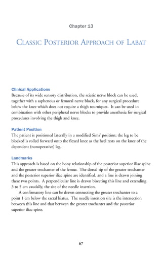 Mayo clinic analgesic pathway peripheral nerve blockade | PDF