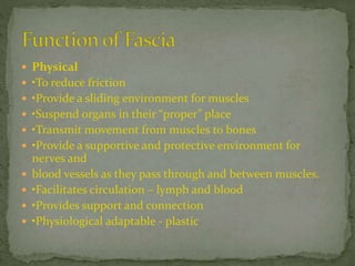 Physical
 •To reduce friction
 •Provide a sliding environment for muscles
 •Suspend organs in their “proper” place
 •Transmit movement from muscles to bones
 •Provide a supportive and protective environment for
nerves and
 blood vessels as they pass through and between muscles.
 •Facilitates circulation – lymph and blood
 •Provides support and connection
 •Physiological adaptable - plastic
 
