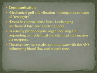  Communication
 •Mechanical pull and vibration – through the concept
of “tensegrity”
 •Fascia has piezoelectric force. i.e changing
mechanical force into electric energy
 •A sensory proprioceptive organ receiving and
responding to mechanical and chemical information
via receptors.
 These sensory nerves also communicate with the ANS
influencing blood flow and muscle tone.
 