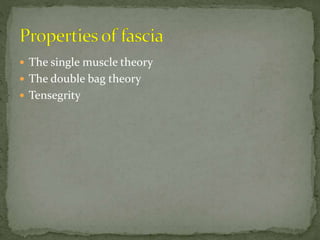  The single muscle theory
 The double bag theory
 Tensegrity
 