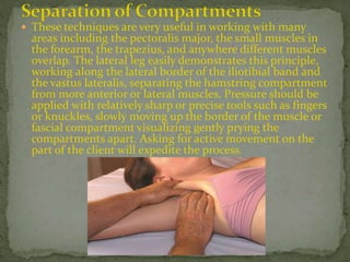  These techniques are very useful in working with many
areas including the pectoralis major, the small muscles in
the forearm, the trapezius, and anywhere different muscles
overlap. The lateral leg easily demonstrates this principle,
working along the lateral border of the iliotibial band and
the vastus lateralis, separating the hamstring compartment
from more anterior or lateral muscles. Pressure should be
applied with relatively sharp or precise tools such as fingers
or knuckles, slowly moving up the border of the muscle or
fascial compartment visualizing gently prying the
compartments apart. Asking for active movement on the
part of the client will expedite the process.
 