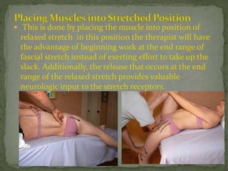  This is done by placing the muscle into position of
relaxed stretch in this position the therapist will have
the advantage of beginning work at the end range of
fascial stretch instead of exerting effort to take up the
slack. Additionally, the release that occurs at the end
range of the relaxed stretch provides valuable
neurologic input to the stretch receptors.
 