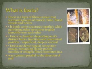  Fascia is a layer of fibrous tissue that
surrounds groups of muscle, bone, blood
vessels and nerves
 • It binds some structures together, while
permitting other structures to glide
smoothly over each other
 • Fascia is classified depending on it’s
distinct layers, functions and anatomical
position – superficial, deep or visceral
 • Fascia are dense regular connective
tissues, containing closely packed
bundles of collagen fibres orientated in a
 wavy pattern parallel to the direction of
pull
 