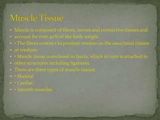  Muscle is composed of fibres, nerves and connective tissues and
 account for over 40% of the body weight.
 • The fibres contract to produce tension on the associated tissues
 or tendons.
 • Muscle tissue is enclosed in fascia, which in turn is attached to
 other structures including ligament.
 There are three types of muscle tissues
 • Skeletal
 • Cardiac
 • Smooth muscles.
 