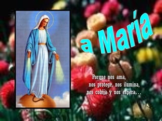 a María Porque nos ama,  nos protege, nos ilumina, nos cobija y nos espera… 