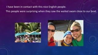 I have been in contact with this nice English people.
This people were surprising when they saw the wailed swam close to our boat