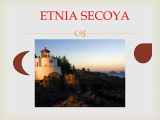 
ETNIA SECOYA
 