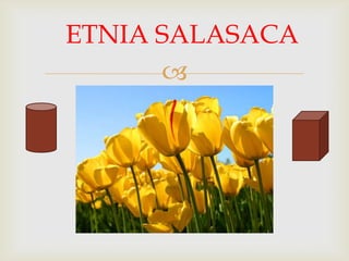 
ETNIA SALASACA
 