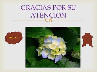 
GRACIAS POR SU
ATENCION
INICIO
 
