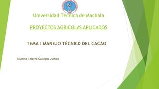Universidad Técnica de Machala
PROYECTOS AGRICOLAS APLICADOS
TEMA : MANEJO TÉCNICO DEL CACAO
Alumna : Mayra Gallegos Jumbo
 