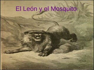 El León y el Mosquito
 