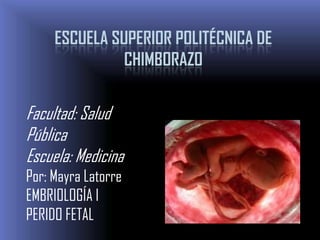 ESCUELA SUPERIOR POLITÉCNICA DE CHIMBORAZO Facultad: Salud Pública                             Escuela: Medicina Por: Mayra Latorre EMBRIOLOGÍA I PERIDO FETAL 