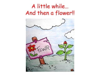 A little while… And then a flower!!