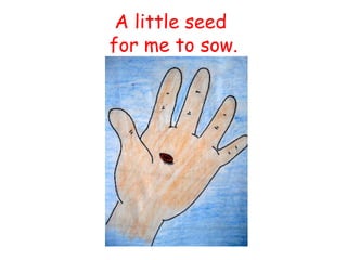 A little seed for me to sow .