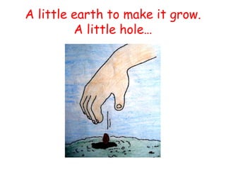 A little earth to make it grow. A little hole…